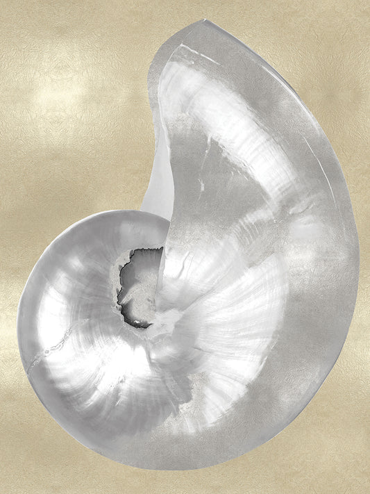 Silver Pearl Shell on Gold I Canvas Print