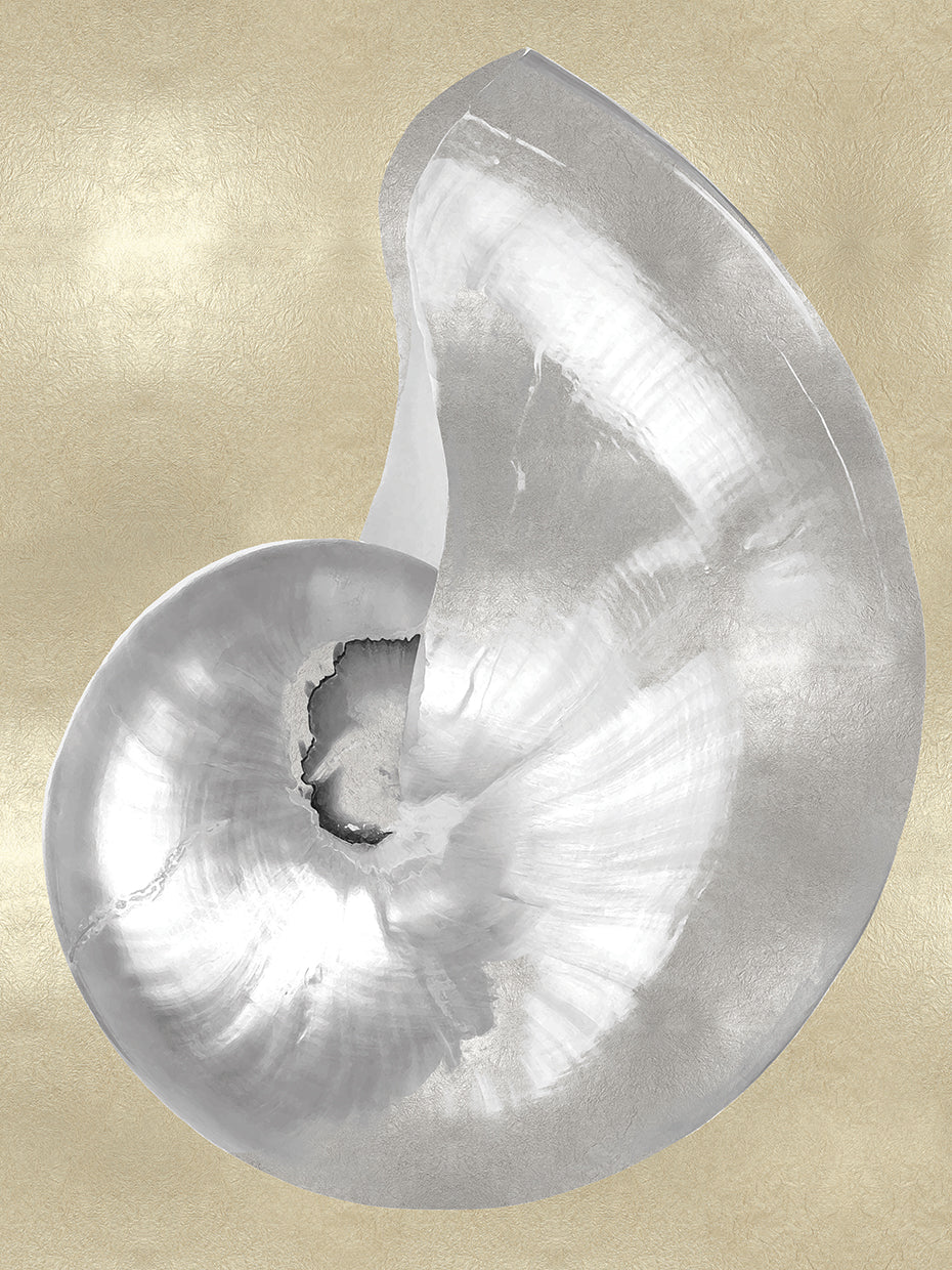 Silver Pearl Shell on Gold I