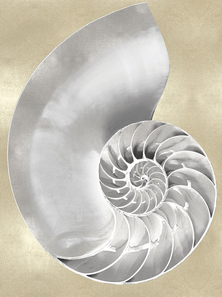 Silver Pearl Shell on Gold II