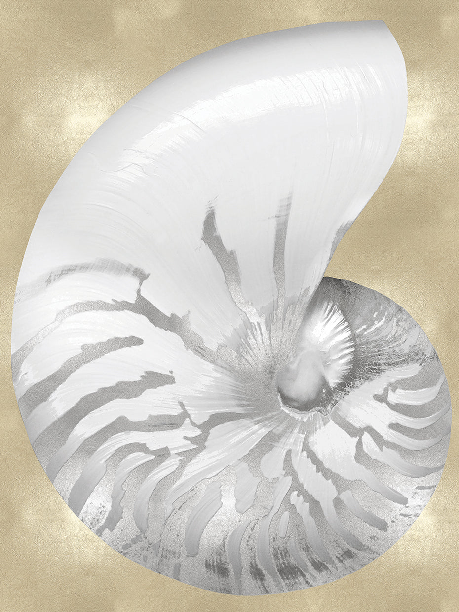 Silver Pearl Shell on Gold III