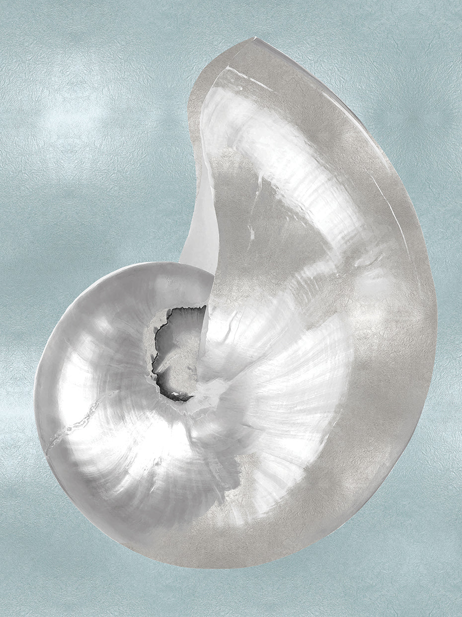 Silver Shell on Aqua Blue I
