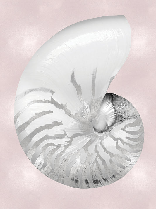 Silver Shell on Pink Blush II Canvas Print