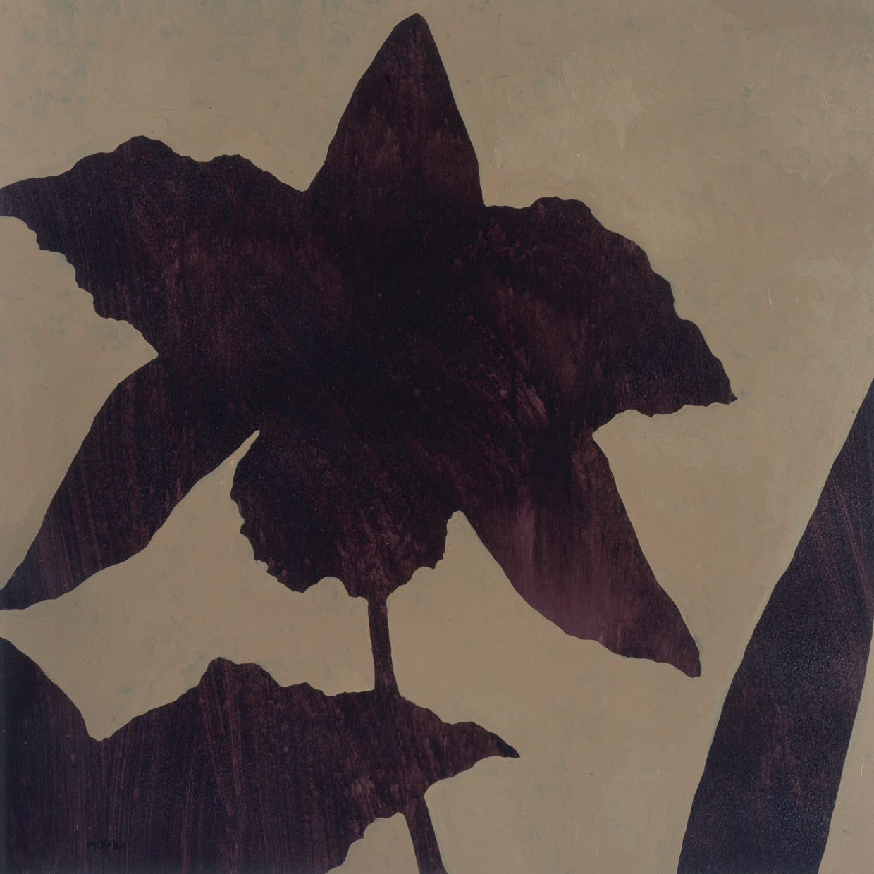 Orchid II