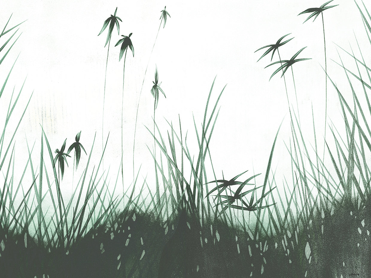Zen Garden I