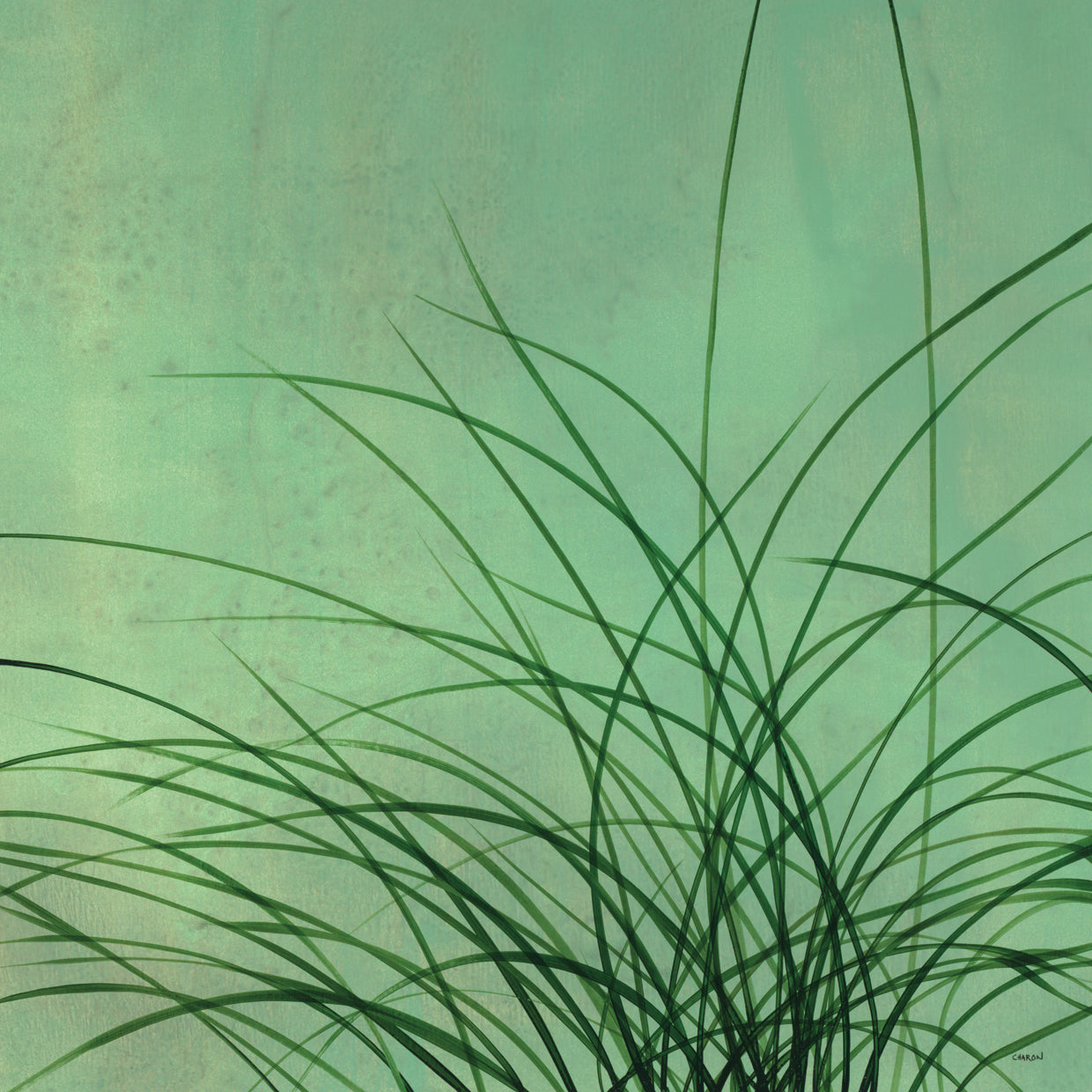 Grasses II