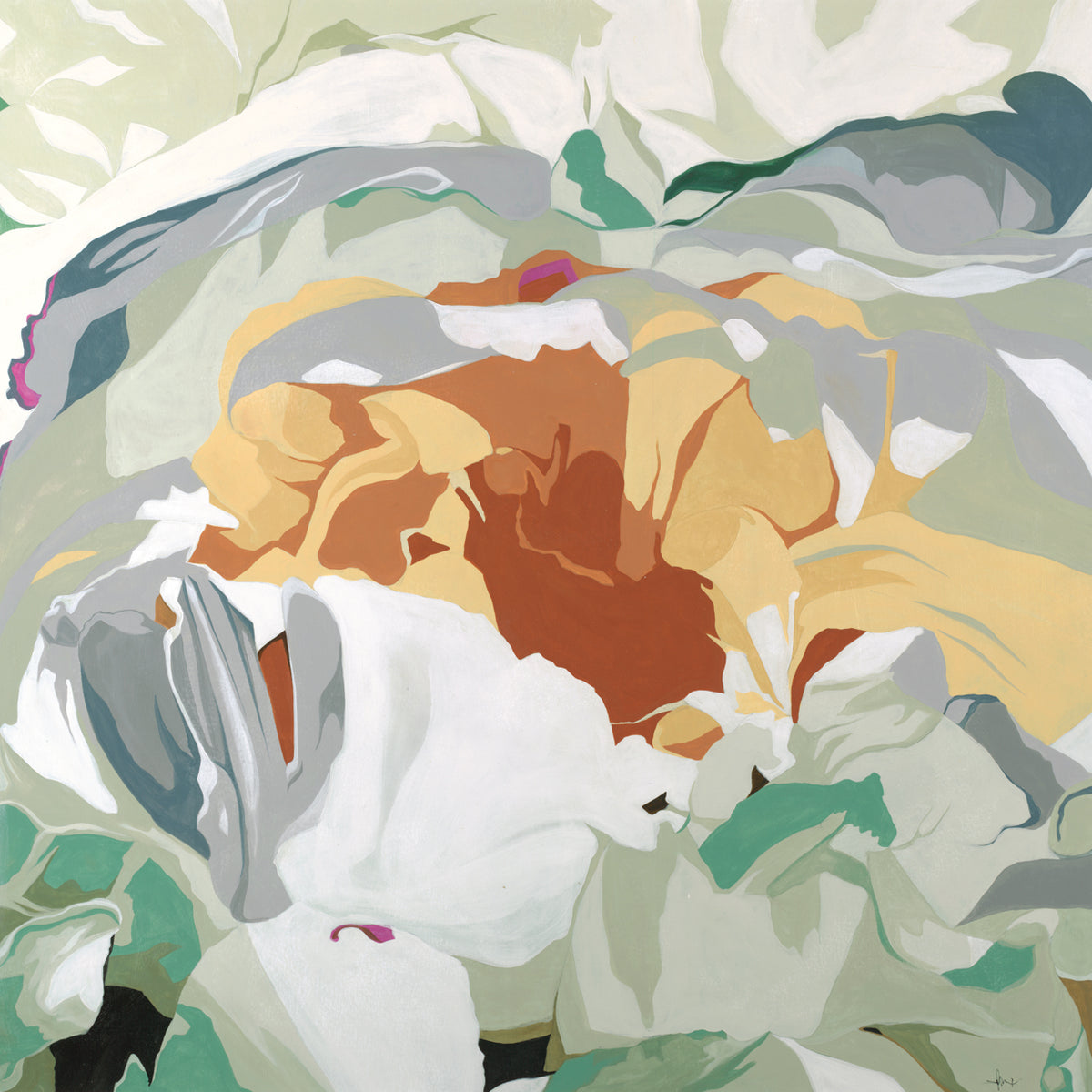 PEONY STUDY 5