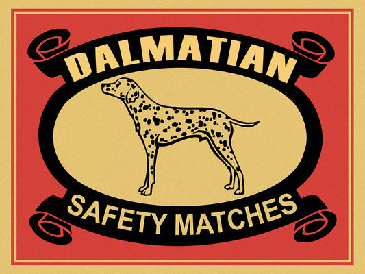 Dalmatian Safety Matches Canvas Print