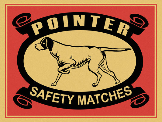 Pointer Safety Matches Canvas Print
