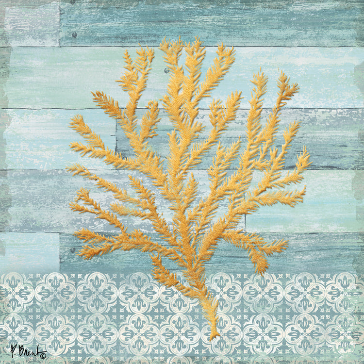 Clearwater Coral III