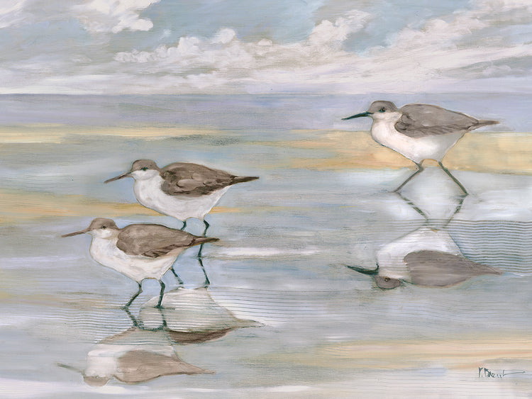 Sunlight Reflections - Three Sandpipers