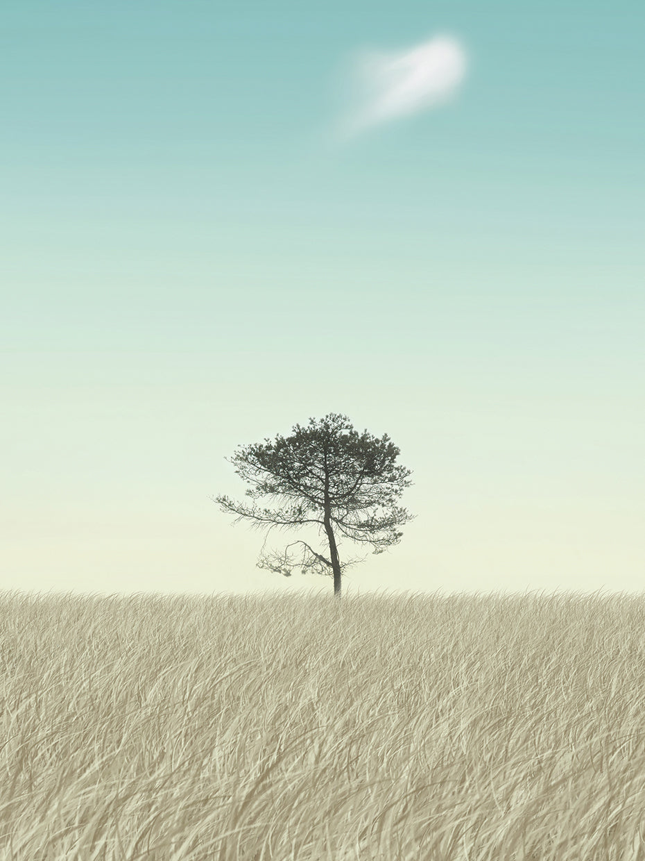 Lonely