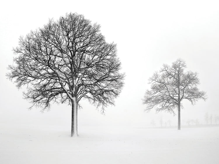 We Grow and Die Together