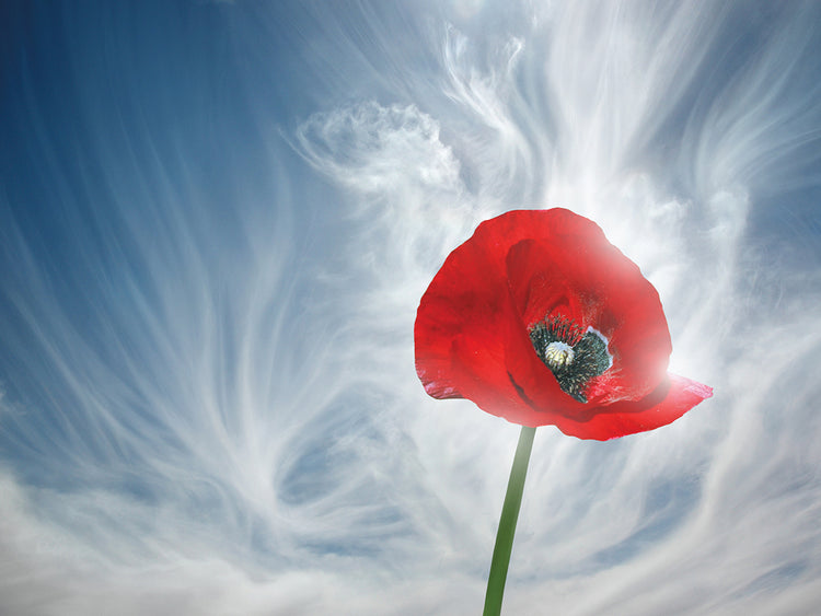 8 You Drive Me Crazy