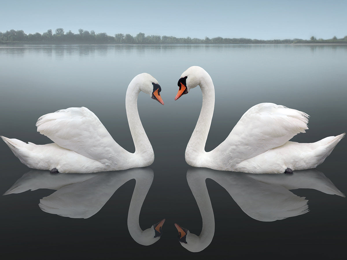 Together