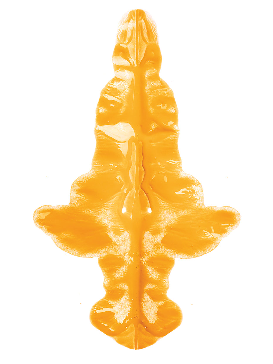 Symmetric paint blot