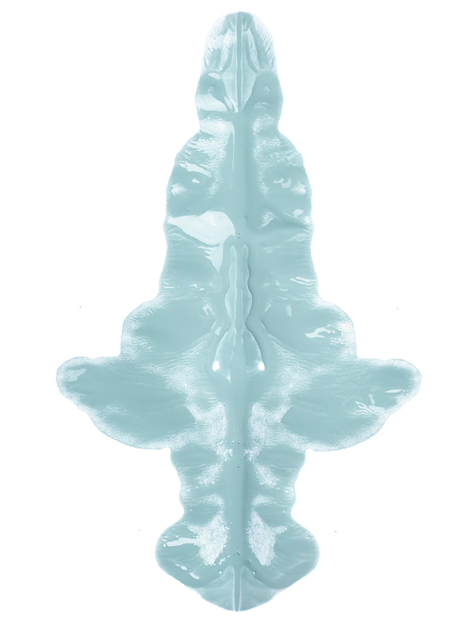 Symmetric paint blot