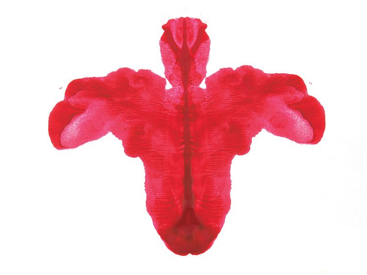 Prueba de Rorschach en rojo Lienzo
