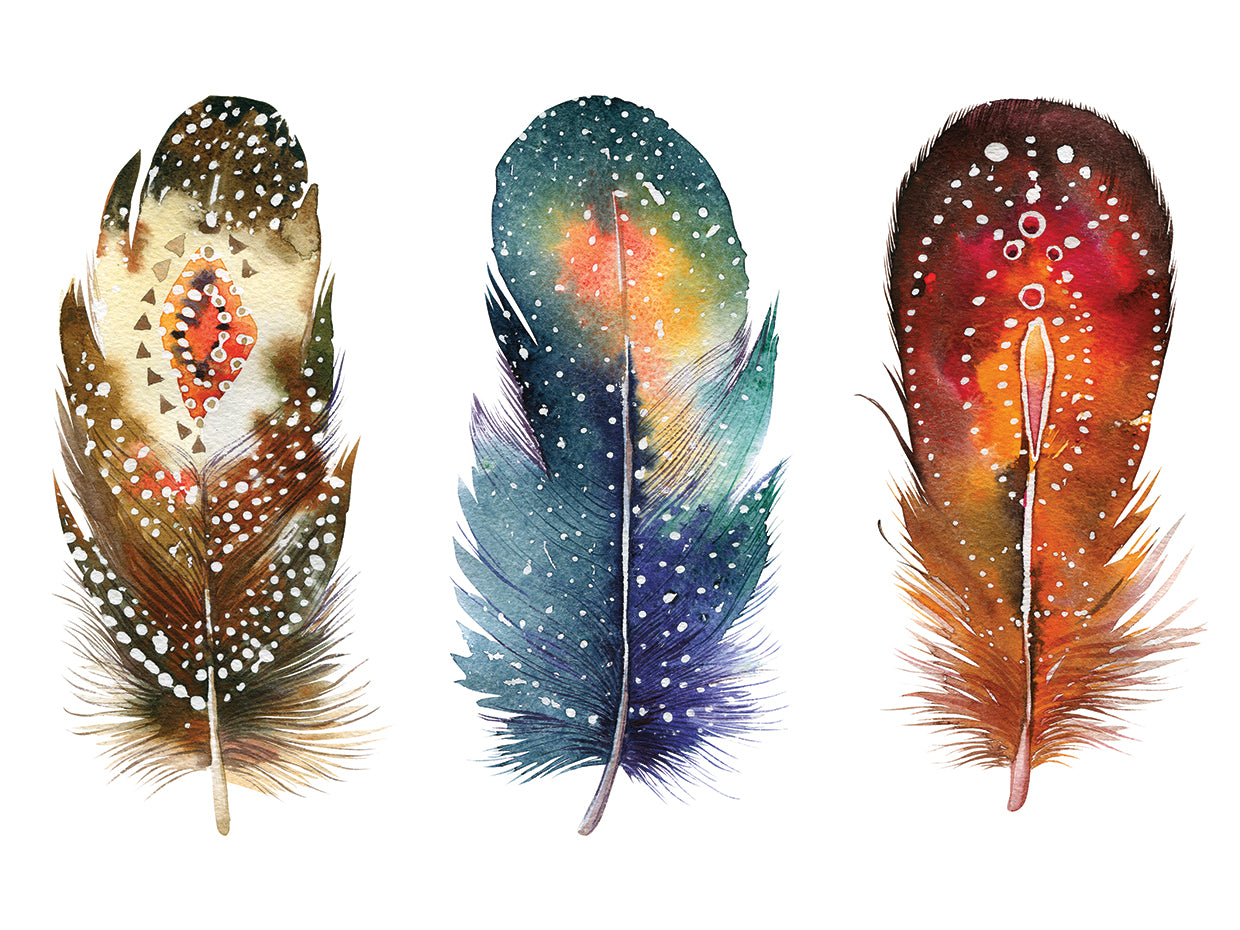 Hand drawn watercolor feather set