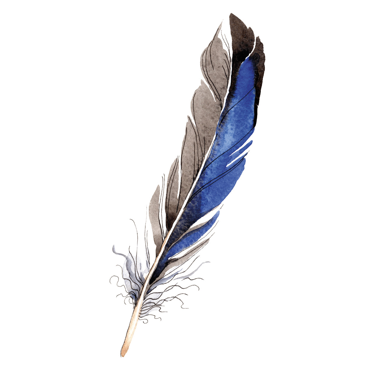 Blue Feather