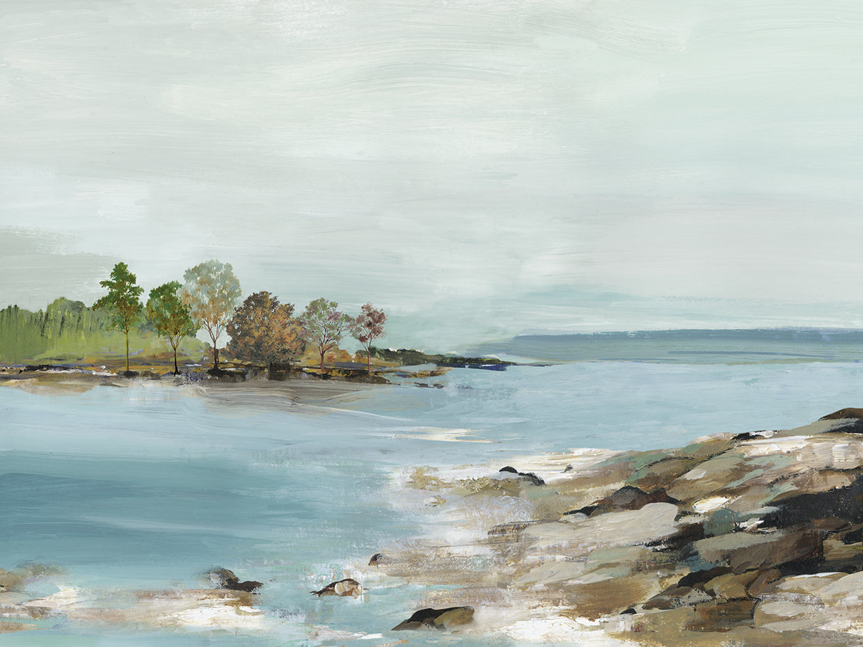 Rocky Beach Views