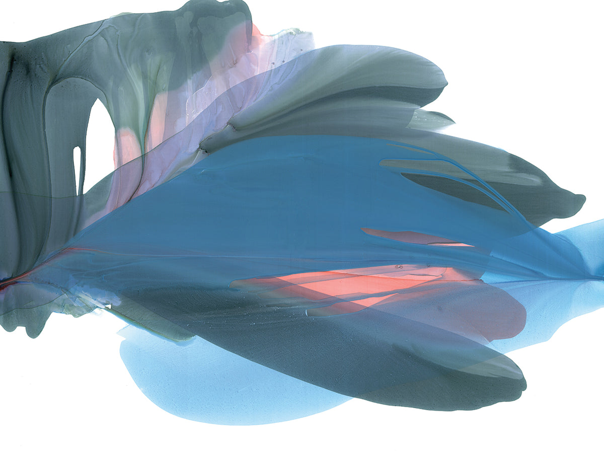 Wing Feathers