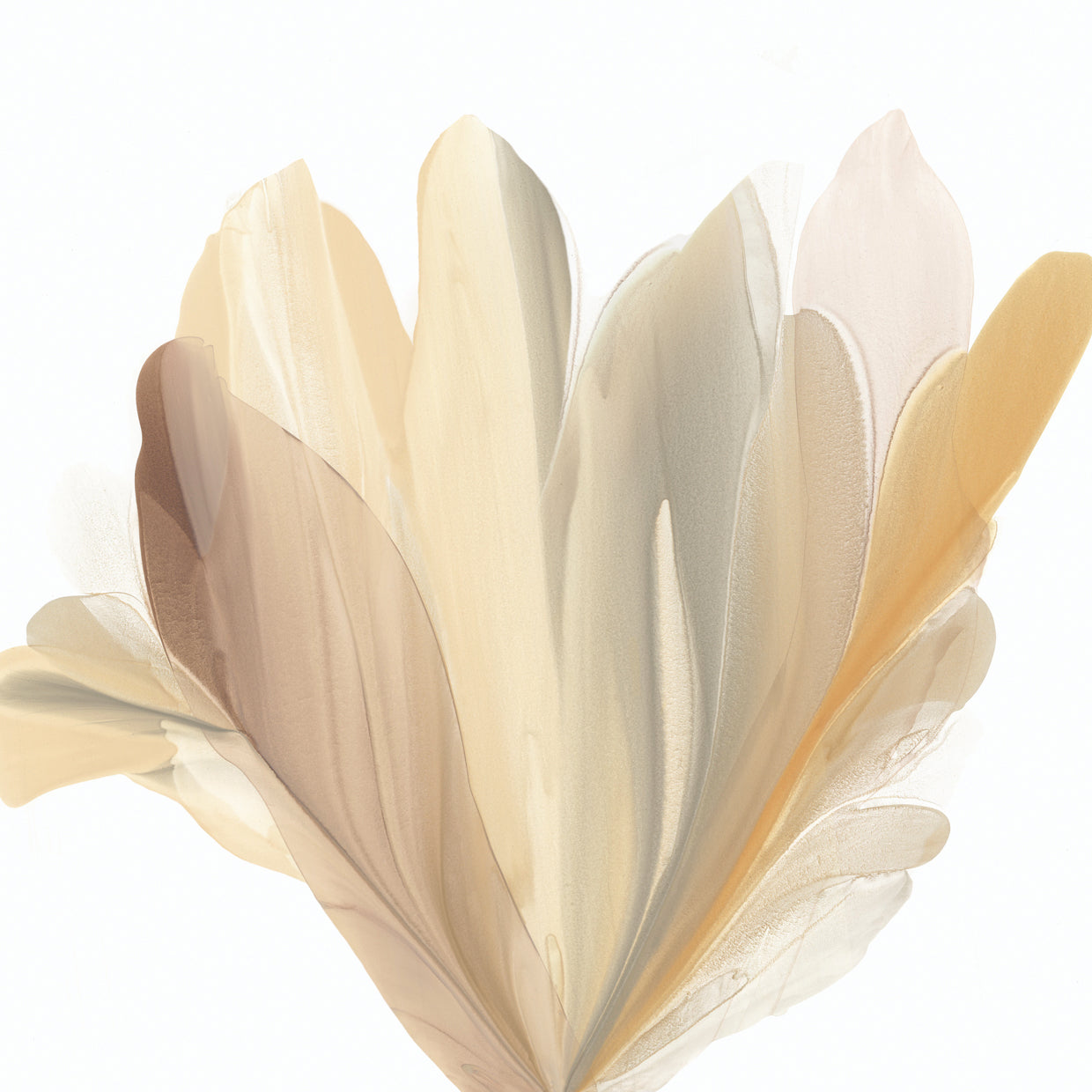Blooming Wisdom