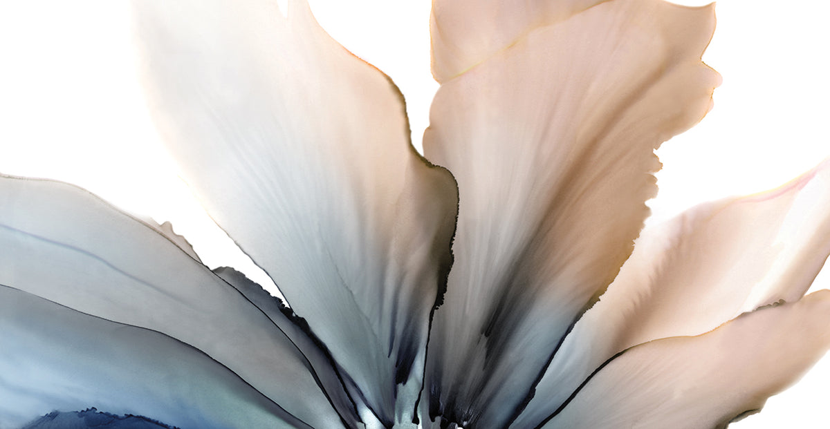 Delicate in Blue