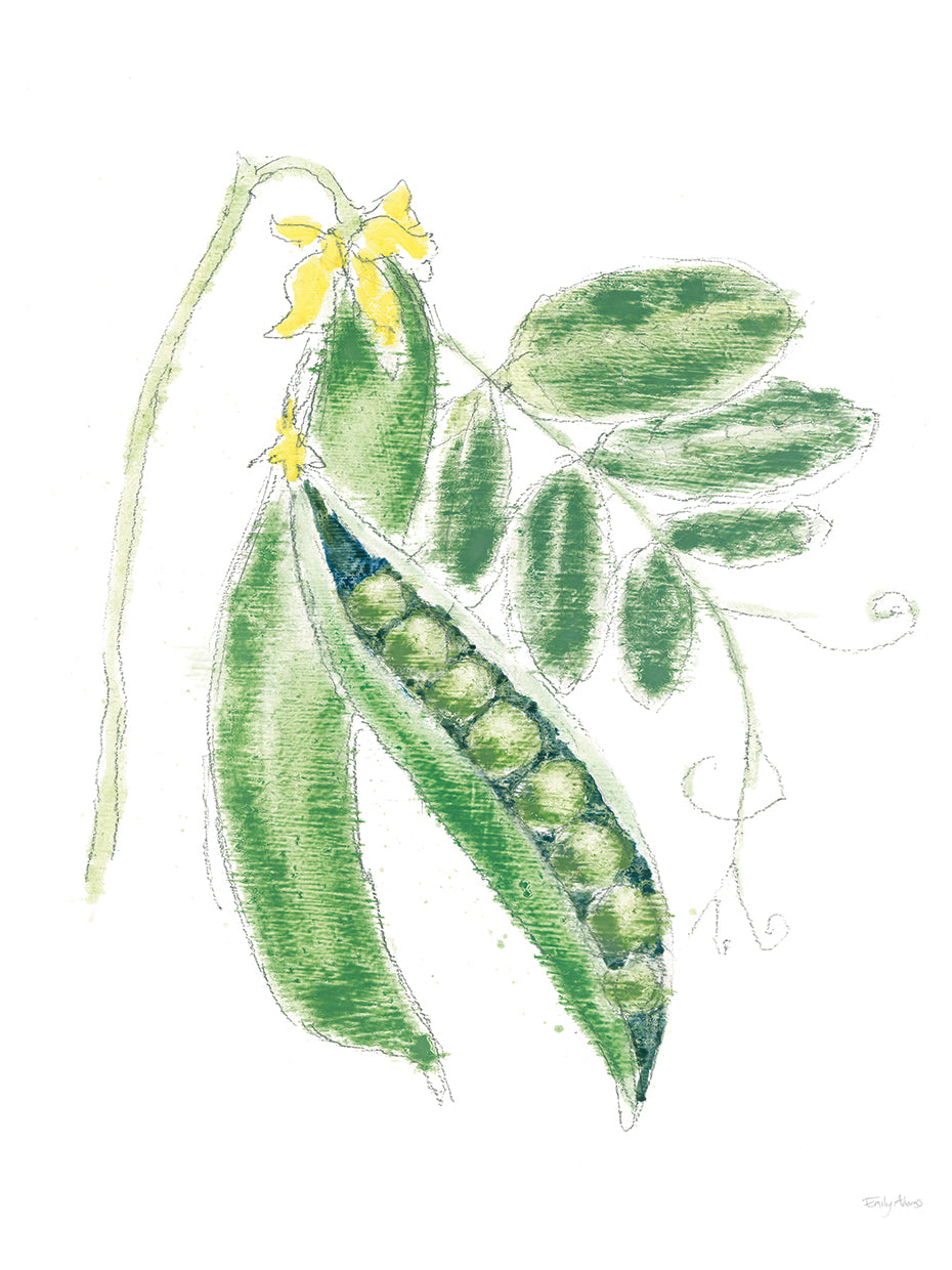 Garden Delight XI v2 White