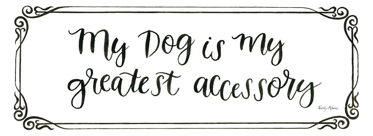 Furry Fashion Friends VII