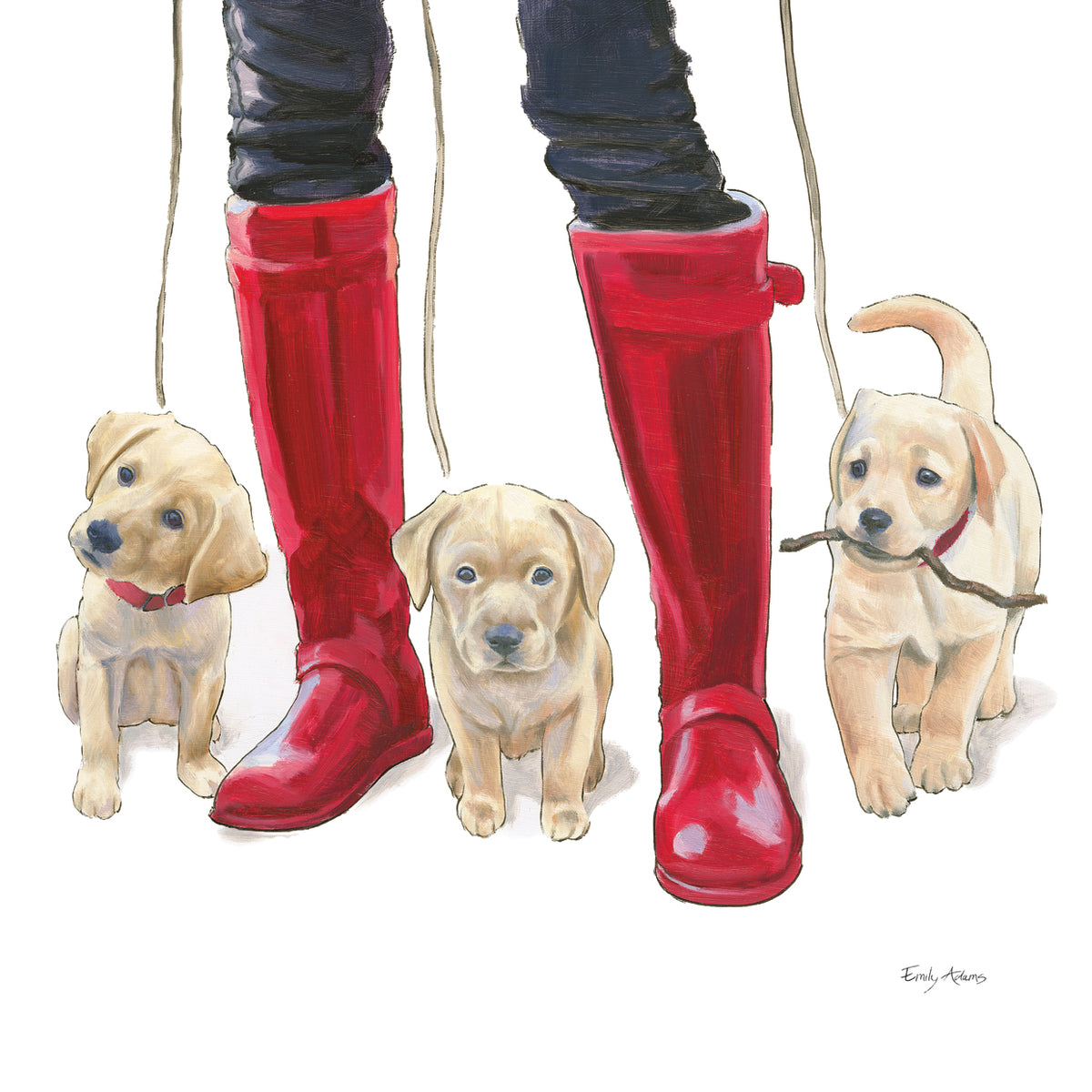 Furry Fashion Friends I