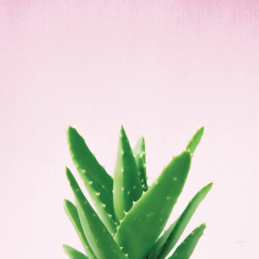 Succulent Simplicity V on Pink Canvas Print