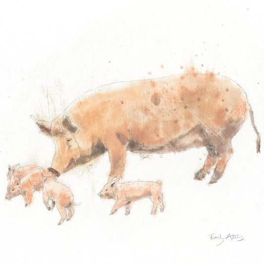 Pig and Piglets Canvas Print