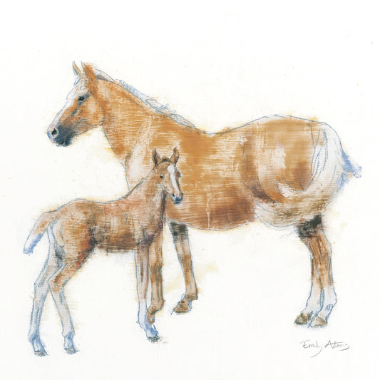 Horse and Colt Canvas Print