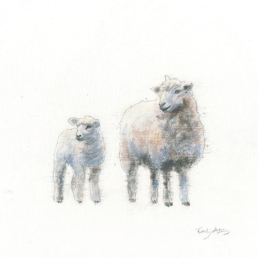 Sheep and Lamb Canvas Print