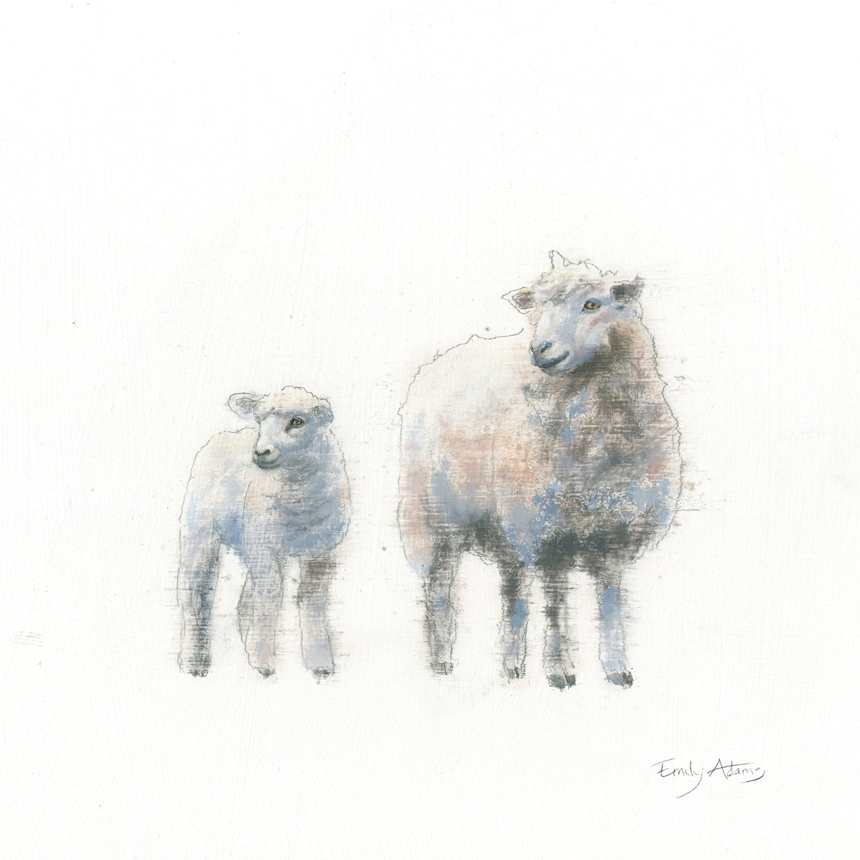 Sheep and Lamb