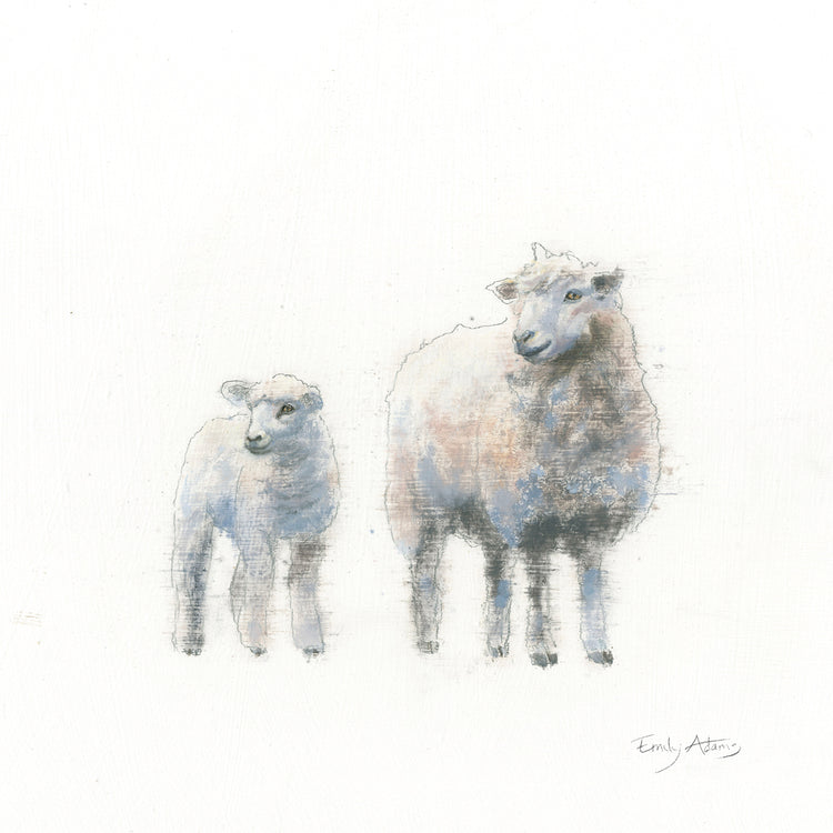 Sheep and Lamb