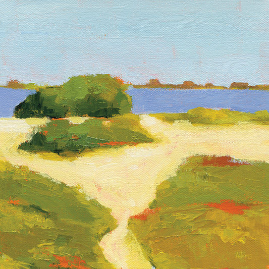 Path to the Beach Canvas Print