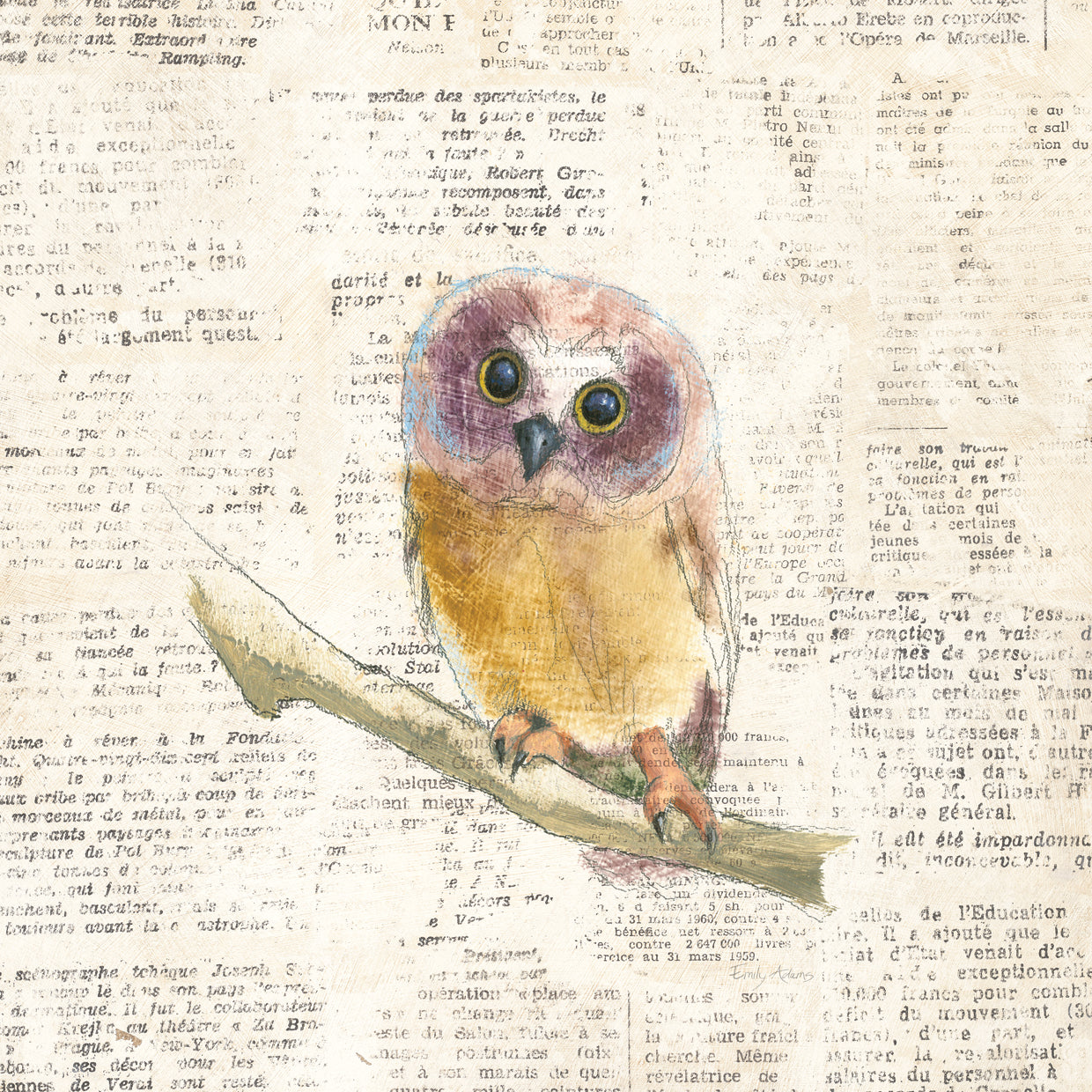 Into the Woods II no Border