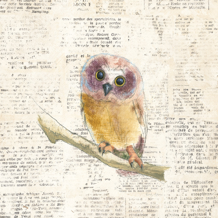 Into the Woods II no Border