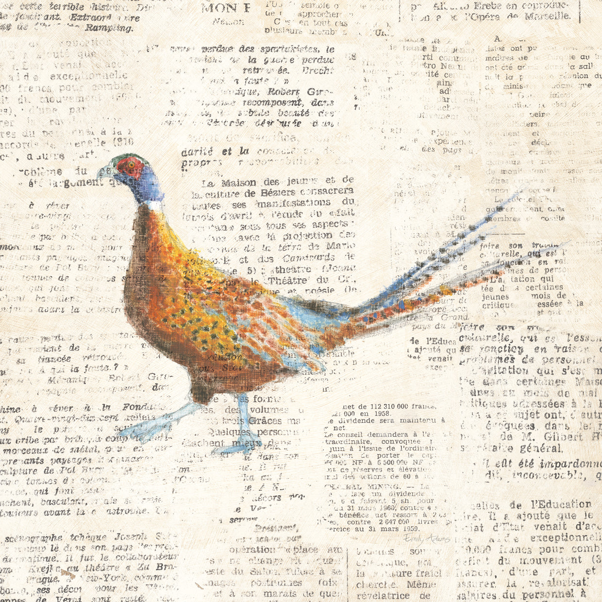 Into the Woods VII no Border