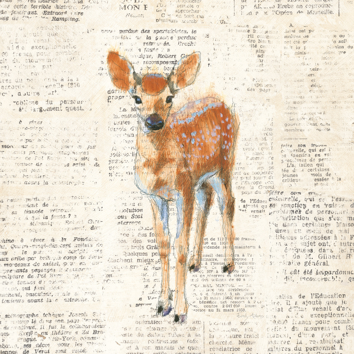 Into the Woods III no Border