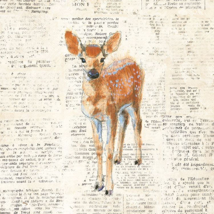 Into the Woods III no Border