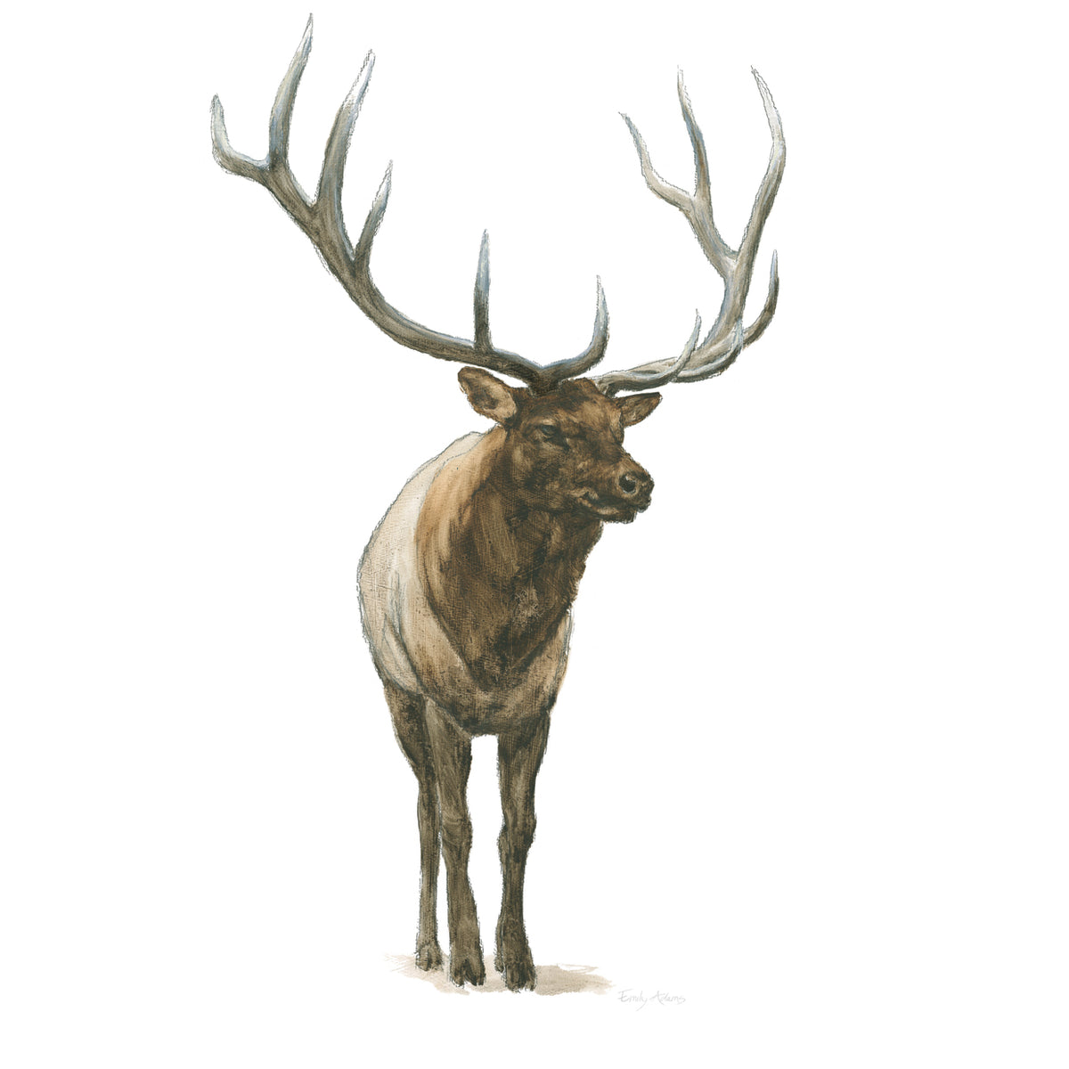 Natural Majesty I