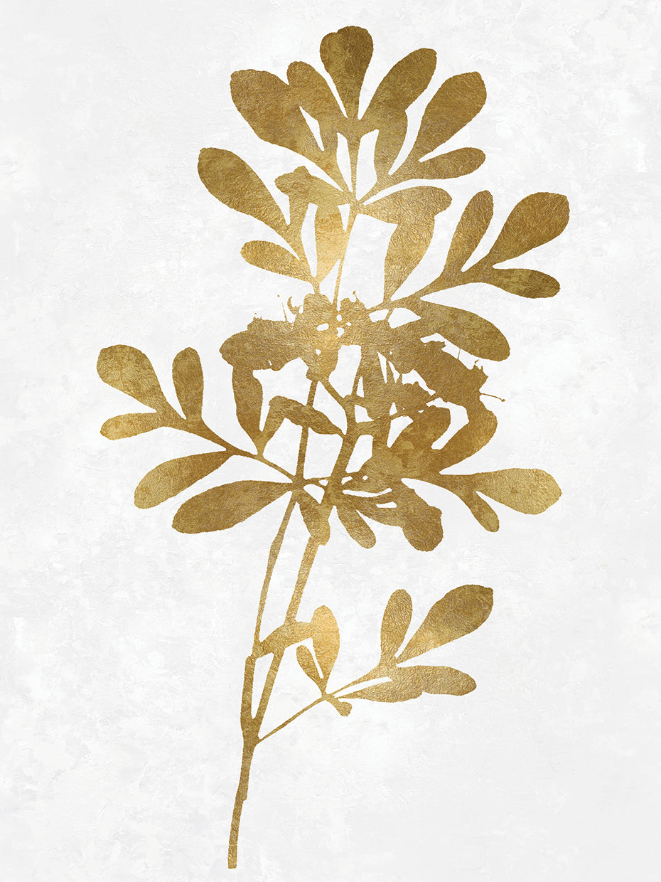 Nature Gold on White II