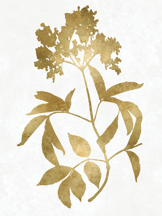 Nature Gold on White V Canvas Print