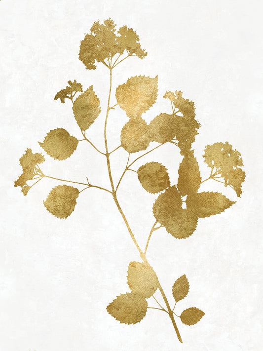 Nature Gold on White VI Canvas Print