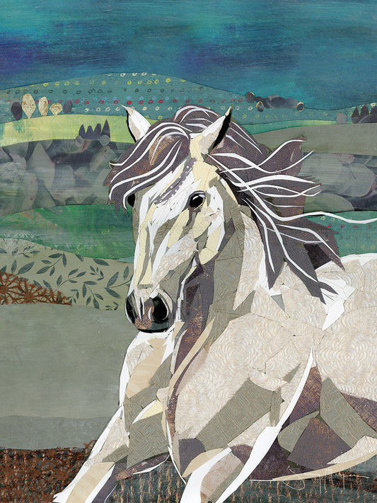 White Horse Freedom Canvas Print