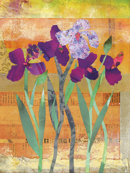Iris III Canvas Print