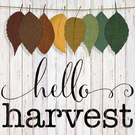 Hello Harvest Canvas Print