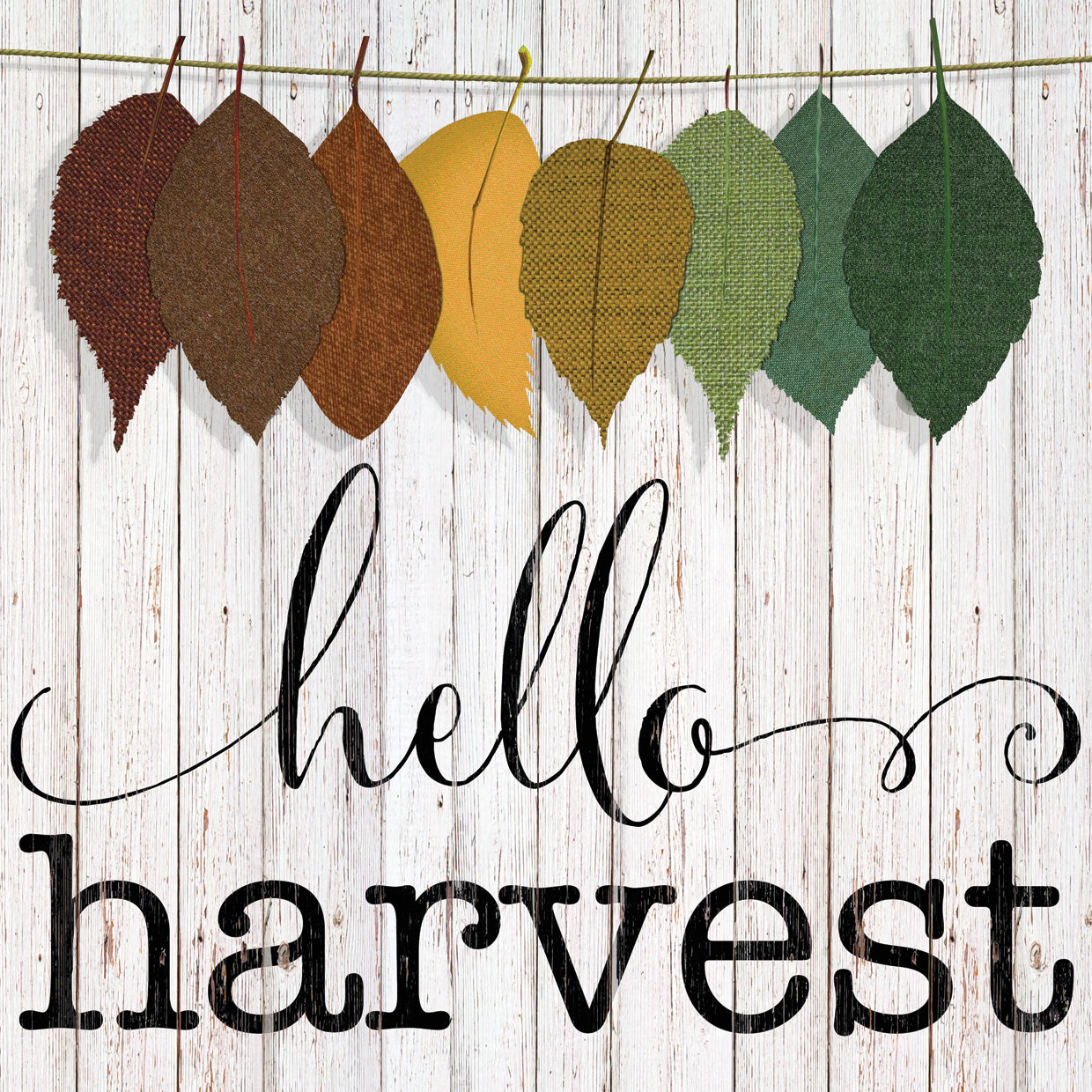 Hello Harvest